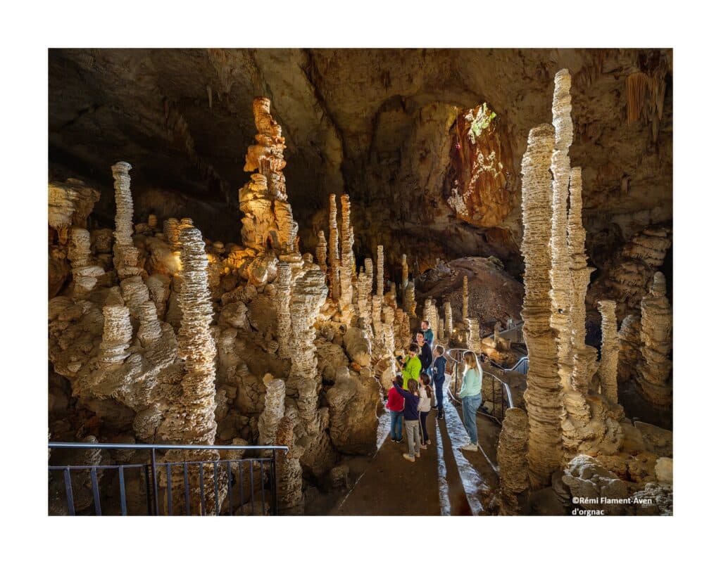 Visiteurs admirant les imposantes colonnes et stalagmites de la spectaculaire Grotte de l'Aven d'Orgnac, éclairée par un puits de lumière.