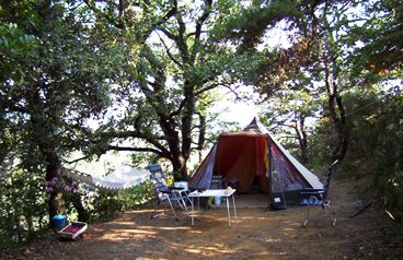 Tente tipi installée en forêt avec chaises, table et hamac pour un séjour de camping relaxant en plein air.