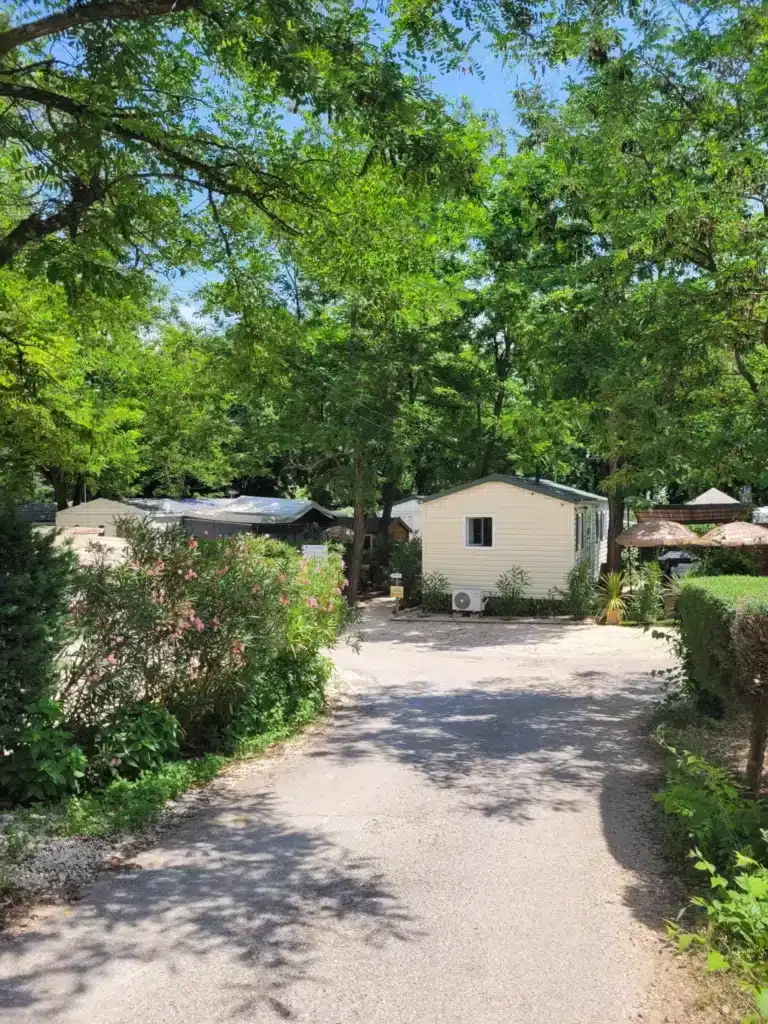 Camping ensoleillé avec mobil-homes modernes, arbres verdoyants et lauriers-roses le long d'une allée pavée.
