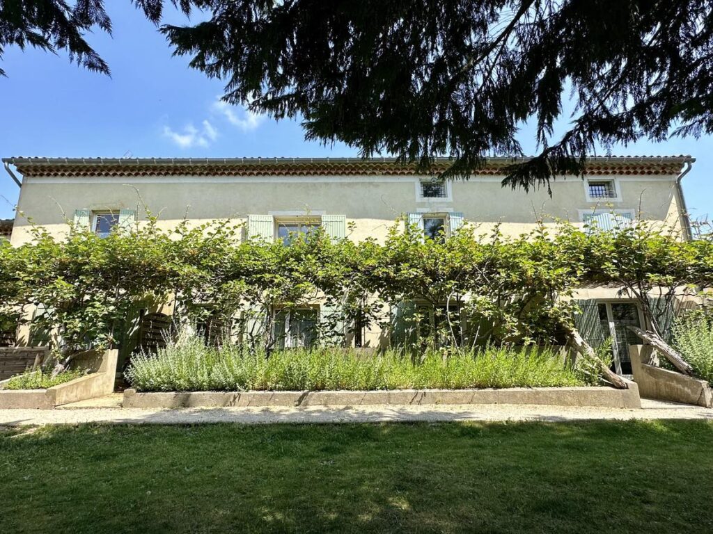Maison provençale avec volets bleus, treille de vignes verdoyante et jardin ensoleillé sous un grand pin.